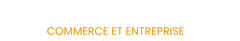 Logo Interface Transmission