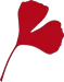 Logo Transcapital